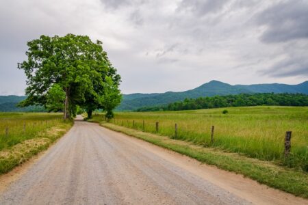 road at cades cove