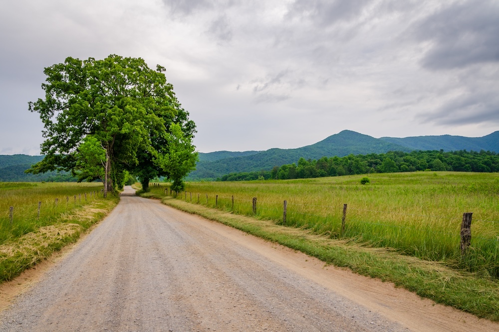 road at cades cove