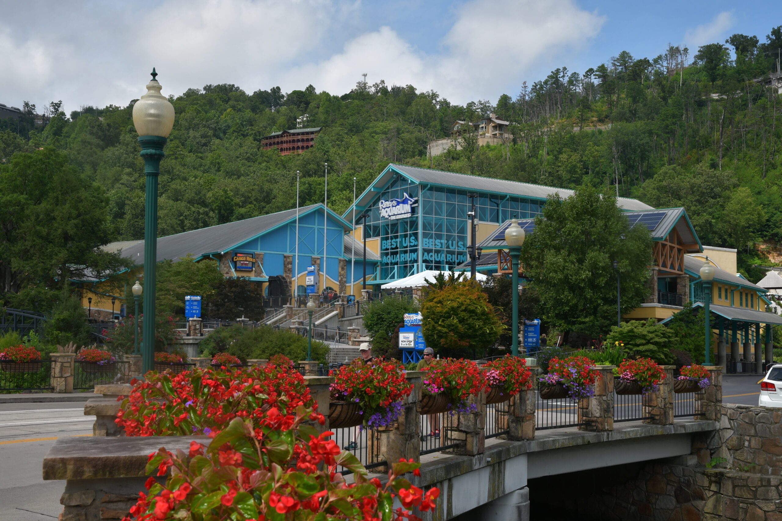 ripley’s aquarium of the smokies