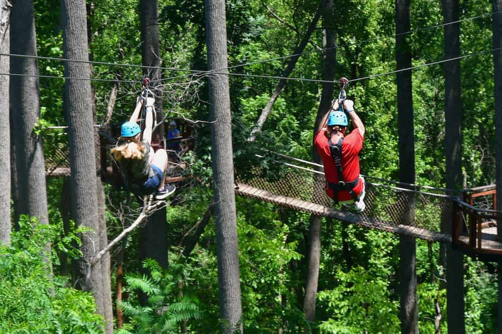 ziplines in the smoky mountains